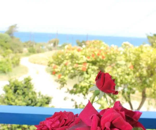 Фермерский дом K Kalavarda